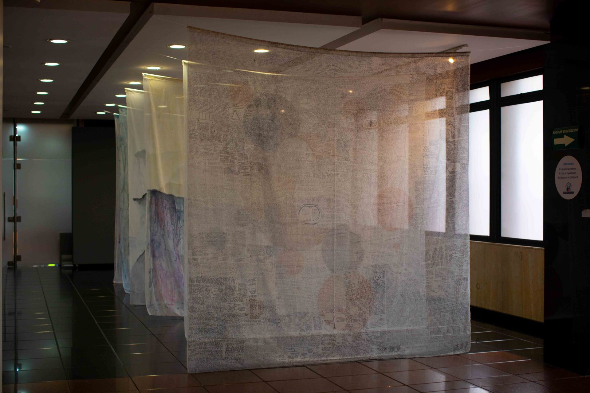 Visite la exposición de nuestra egresada hasta el 30 de enero
