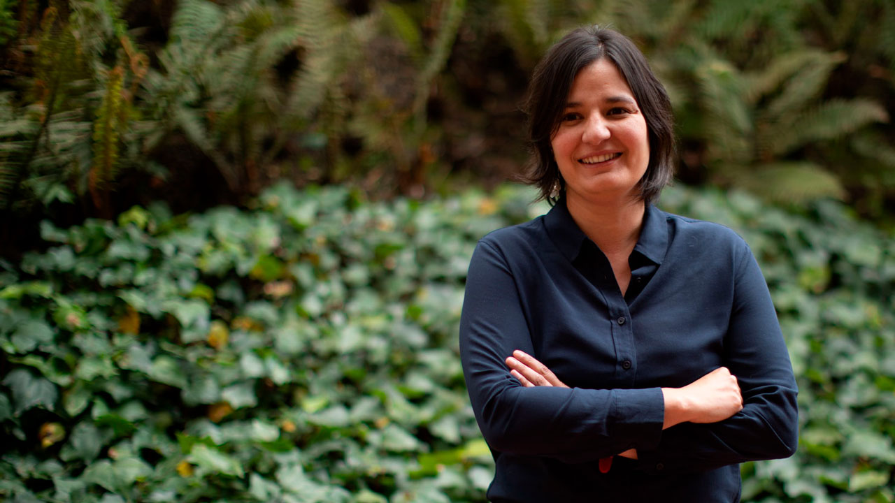 Será un proyecto conjunto entre profesionales y estudiantes